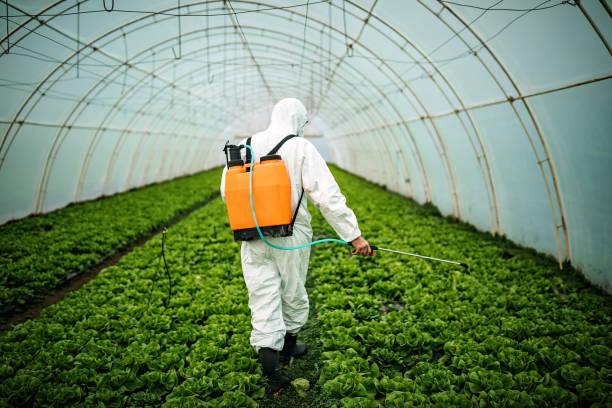 Professional Pest Control in Joliet, IL