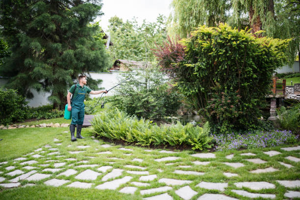 Best Residential Pest Control  in Joliet, IL